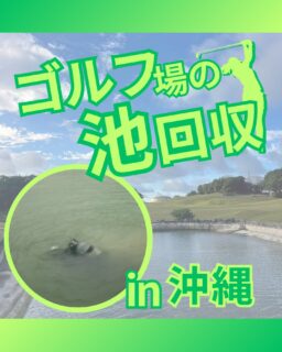 @ecoball ←過去の投稿はこちら
⁡
こんばんは！ECOボール株式会社です😊
⁡
⁡
今回は、池に落ちたゴルフボールをプロがどのように回収しているのか、
現場の流れをご紹介します✨
⁡
⁡
ボール回収は、ただ潜って拾う作業ではありません。
池の中は視界が悪く、底は泥や藻で不安定。
思わぬ事故につながる危険も多い環境なんです💦
⁡
⁡
ECOボールでは、国家資格「潜水士」を持つスタッフが、
事前の安全確認から潜水、回収、選別までを一貫して対応。
複数名体制で無理のない手順を守りながら、安全第一で作業を行っています。
⁡
⁡
「スタッフで対応しても大丈夫だろうか？」
そう悩まれるゴルフ場様も少なくありませんが、
池のボール回収は専門性と安全管理が求められる作業です😣
⁡
⁡
ゴルフ場スタッフの安全を守り、
コース環境をきれいに保つためにも、
池のボール回収はぜひプロにお任せください👍
⁡
⁡
ご相談やご質問だけでもお気軽にどうぞ😊
⁡
⁡
⁡
#ゴルフ場
#ゴルフボール回収
#ロストボール
#ゴルフ関係者と繋がりたい
#潜水