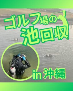 ⁡
@ecoball ←過去の投稿はこちら
⁡
こんばんは！ECOボール株式会社です😊
⁡
⁡
今回は、池のボール回収でよくある誤解をまとめました。
⁡
⁡
「長靴や胴長があれば大丈夫」
「困ってから回収すればいい」
「放置しても特に問題はないんじゃない」
⁡
こうした声を耳にすることがありますが、
池の中は視界が悪く、足元も不安定な特殊環境。
想像以上にリスクが高い現場です💦
⁡
⁡
また、ボールを放置すると蓄積し、
回収の手間や時間が増えるだけでなく、
池の見た目や管理状況の印象にも影響します。
⁡
⁡
回収は「できるかどうか」ではなく、
安全かどうか・効率的かどうかで考えることが重要⚠️
⁡
⁡
ECOボール株式会社では、
潜水士による安全管理のもと対応を行っています😊
⁡
⁡
まずはご相談だけでも大丈夫です。
気になる池があれば、お気軽にご連絡ください✨
⁡
⁡
⁡
#沖縄
#沖縄ゴルフ
#ゴルフボール回収
#ロストボール
#潜水士
