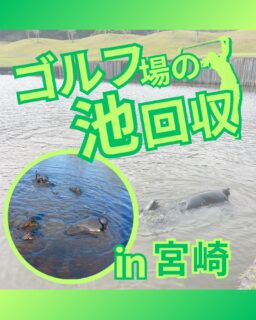 ⁡
⁡
@ecoball ←過去の投稿はこちら
⁡
こんばんは！ECOボール株式会社です😊
⁡
⁡
今回は、池のボール回収を依頼する際の「安全な業者の見分け方」についてまとめました。
⁡
⁡
回収作業は、水中という特殊な環境で行われるため、
「安さ」だけで選んでしまうと、思わぬ事故やトラブルにつながる可能性があります💦
⁡
⁡
依頼前に確認しておきたいポイントは、主に3つです。
⁡
⁡
・潜水士（国家資格）が実際に作業するか
・保険に加入しているか
・複数名体制で安全管理ができているか
⁡
⁡
これらが揃っている業者は、
安全に対する意識と現場対応力が高い傾向があります。
⁡
⁡
逆に、「すぐ終わります」「大丈夫です」といった
抽象的な説明だけの場合は、慎重に判断することも大切です🤔
⁡
⁡
池のボール回収は、誰に任せるかで
安全性も、結果の品質も大きく変わります✨
⁡
⁡
ECOボール株式会社では、
潜水士による作業・複数名体制・保険加入・事前説明の徹底など、
安心してご依頼いただける体制を整えています。
⁡
⁡
まずはご相談だけでもお気軽にどうぞ😊
⁡
⁡
#ゴルフ
#ゴルフ場
#潜水
#池回収
#潜水士