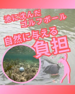 ⁡
@ecoball ←過去の投稿はこちら
⁡
こんばんは！ECOボール株式会社です😊
⁡
⁡
今回は、池に沈んだゴルフボールが環境に与える影響について⛳️
⁡
⁡
プレー中に池へ落ちたゴルフボール。
「そのままでも大丈夫では？」と思われることもあるかもしれません。
しかし、ゴルフボールは自然の中ですぐに分解されるものではなく、
回収されなければ長い間その場に残り続ける可能性があります😣
⁡
⁡
池の中や泥の中に埋もれたボールは、
景観を損ねるだけでなく、
ゴルフ場の自然環境にとっても負担になることがあります。
見えない場所だからこそ、きちんと管理していくことが大切です✨
⁡
⁡
そうしたボールを適切に回収することは、
池の環境を守り、美しいコース景観を維持することにもつながります。
自然と共にあるゴルフ場だからこそ、
見えない部分まで整えることには大きな意味があります。
⁡
⁡
さらに、回収されたボールの中には、
洗浄・選別を行うことで再び使えるものもあります。
それらはロストボールとして再利用され、
資源を無駄にしない循環にもつながっています😊
⁡
⁡
池に落ちたボールをただ放置しないこと。
その積み重ねが、
ゴルフ場の自然を守り、資源を大切にすることにつながります😊
⁡
ECOボール株式会社ではそういった回収をしておりますので、気になる方はぜひご連絡ください。
⁡
⁡
#ゴルフ場
#ゴルフボール回収
#ロストボール
#潜水士
#ECOボール