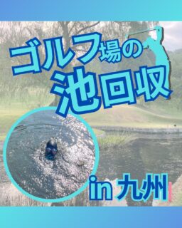 ⁡
@ecoball ←過去の投稿はこちら
⁡
こんばんは！ECOボール株式会社です😊
⁡
⁡
今回は、池やコース内に眠っているゴルフボールの価値についてお伝えします。
⁡
⁡
池やOBゾーンに残ったゴルフボールは、
「もう使えないもの」
「そのまま放置するしかないもの」
と思われがちです。
⁡
⁡
しかし実際には、回収したボールの中には、
状態を確認したうえで再利用できるものが多くあります。
つまり、眠ったままのボールにも、まだ価値があるということです🤔
⁡
⁡
対象になるのは池の中だけではありません。
OBゾーンのボール、マスター室で集められたボール、キャディさんや管理棟で保管されているボールなども、まとめて見直すことで価値を活かせる可能性があります！✨
⁡
⁡
ECOボールでは、こうしたロストボールを買い取り、
その代金をゴルフ場様へ還元しています。
また、現金での買取だけでなく、
買取金額に応じて練習場用ボールとして納品することも可能です。
⁡
⁡
ただ回収して終わりではなく、
「捨てるもの」を「活かせる資産」に変える。
それが、ロストボール回収の大きな価値です。
⁡
⁡
池やコースに眠っているボール、
そのままにしていませんか？
ゴルフ場にある資産を、もう一度価値に変えてみませんか？😊
⁡
⁡
ご相談やお見積もりもお気軽にご連絡ください。
⁡
⁡
#ゴルフ場
#ゴルフボール回収
#ロストボール
#潜水士
#ECOボール