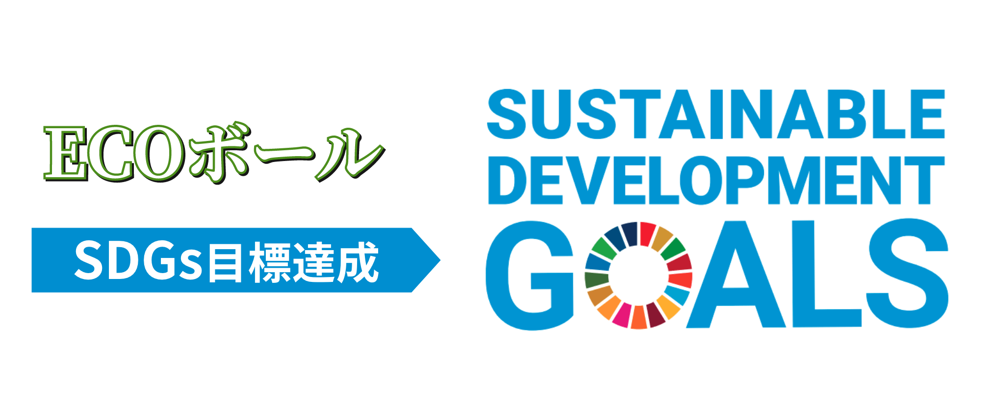 ECOボール SDGs目標達成